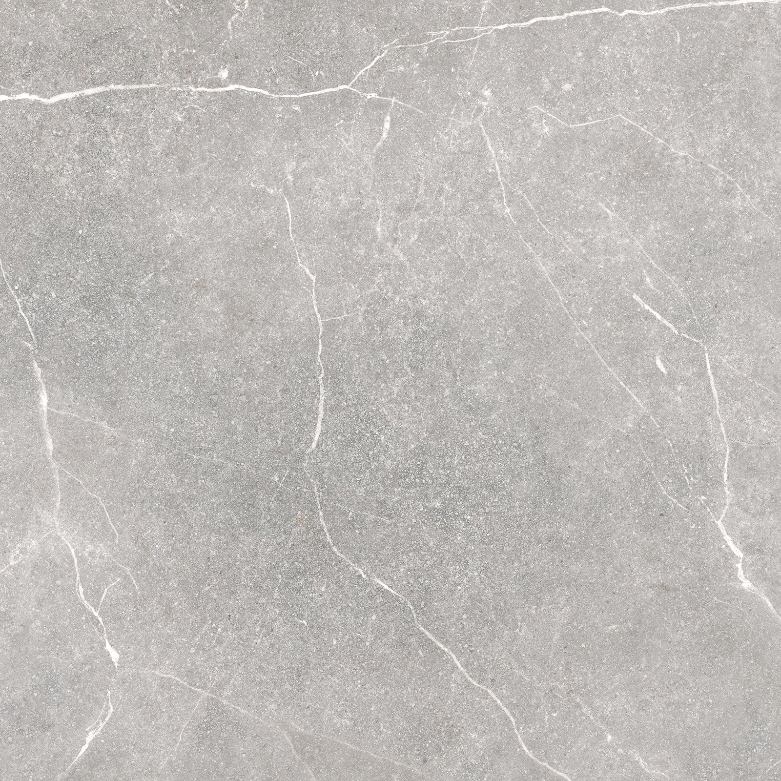 Soapstone Silver 100X100 SF keramische tegel