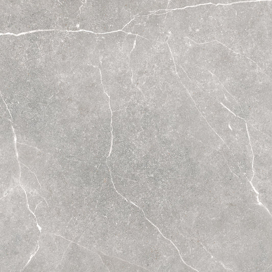 Soapstone Silver 100X100 SF keramische tegel
