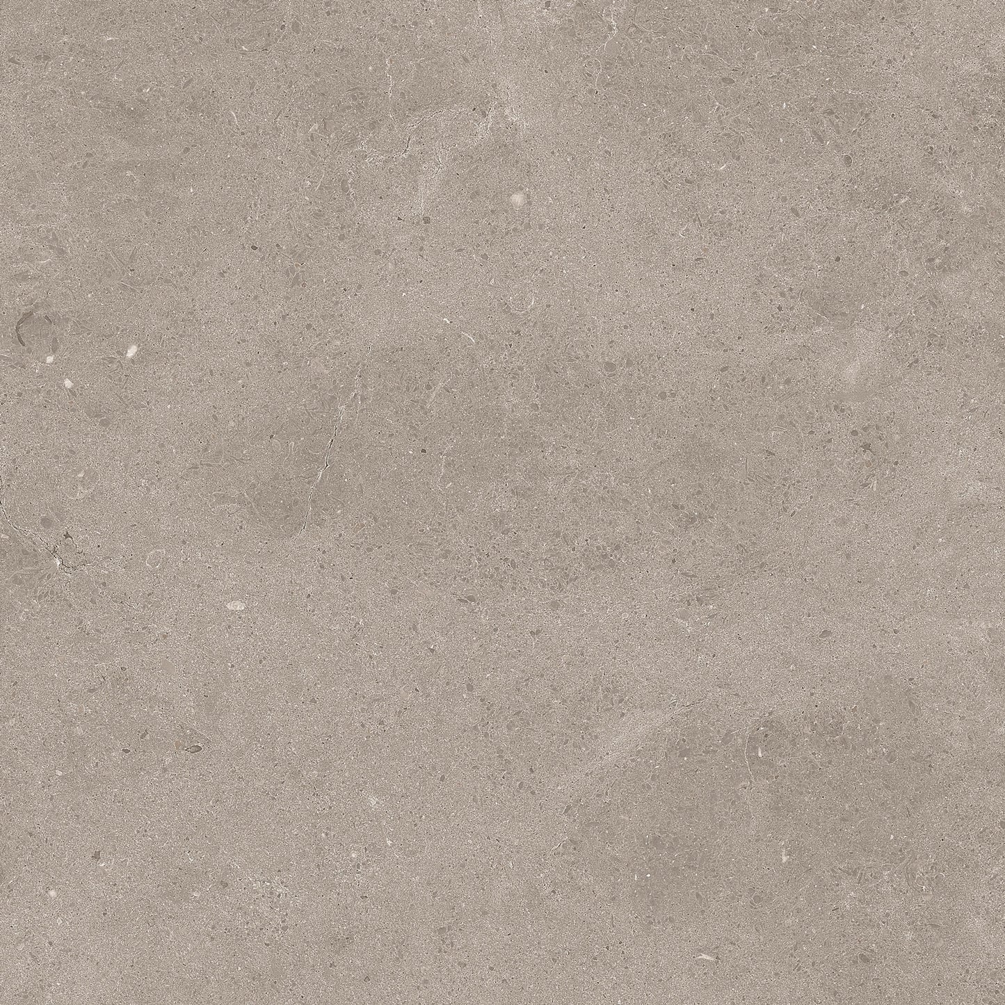 Serenastone Sand 60X60N(C) 60x60c(n) MAT keramische tegel
