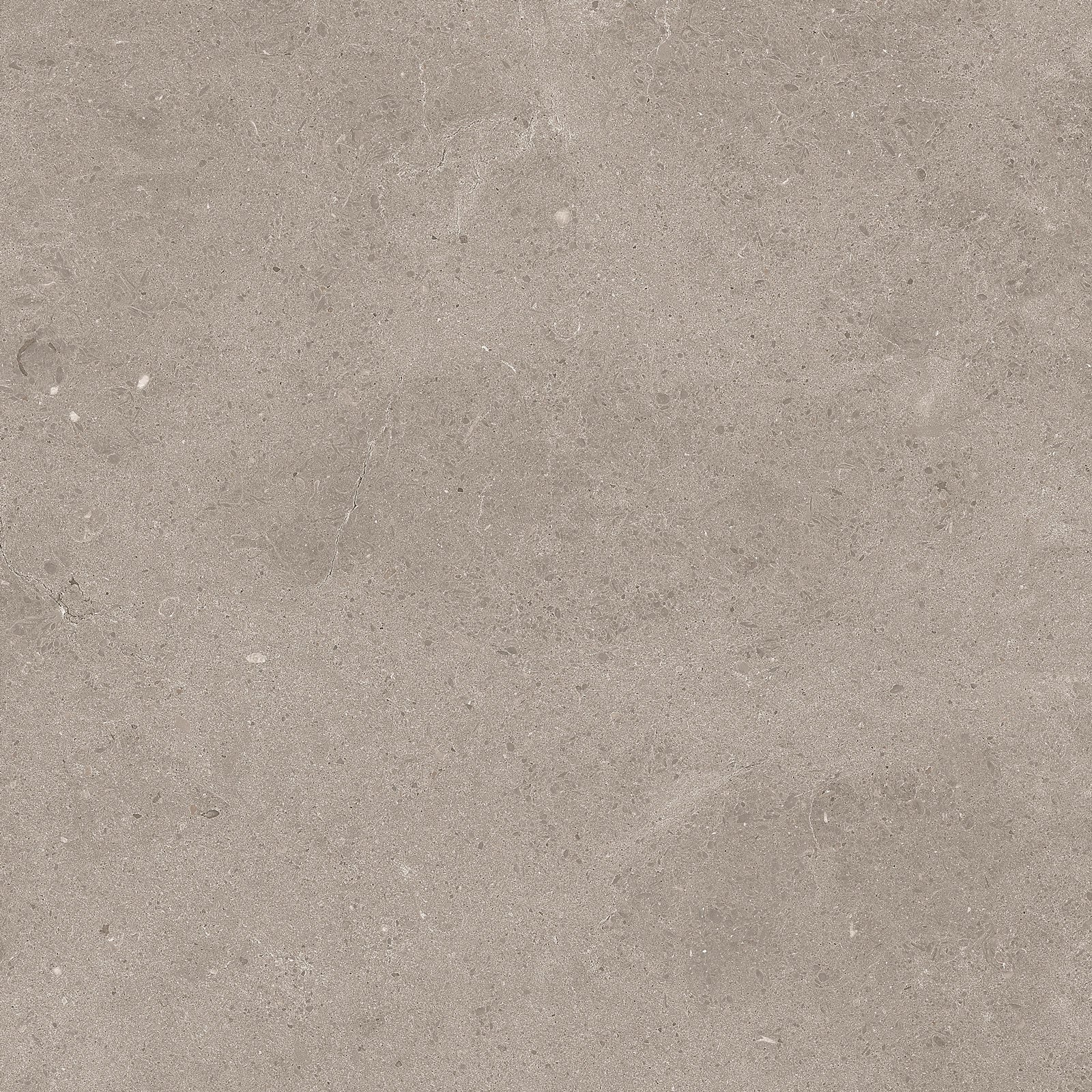 Serenastone Sand 60X60N(C) 60x60c(n) MAT keramische tegel