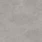 Serenastone Silver 60X60N(C) 60x60c(n) MAT keramische tegel