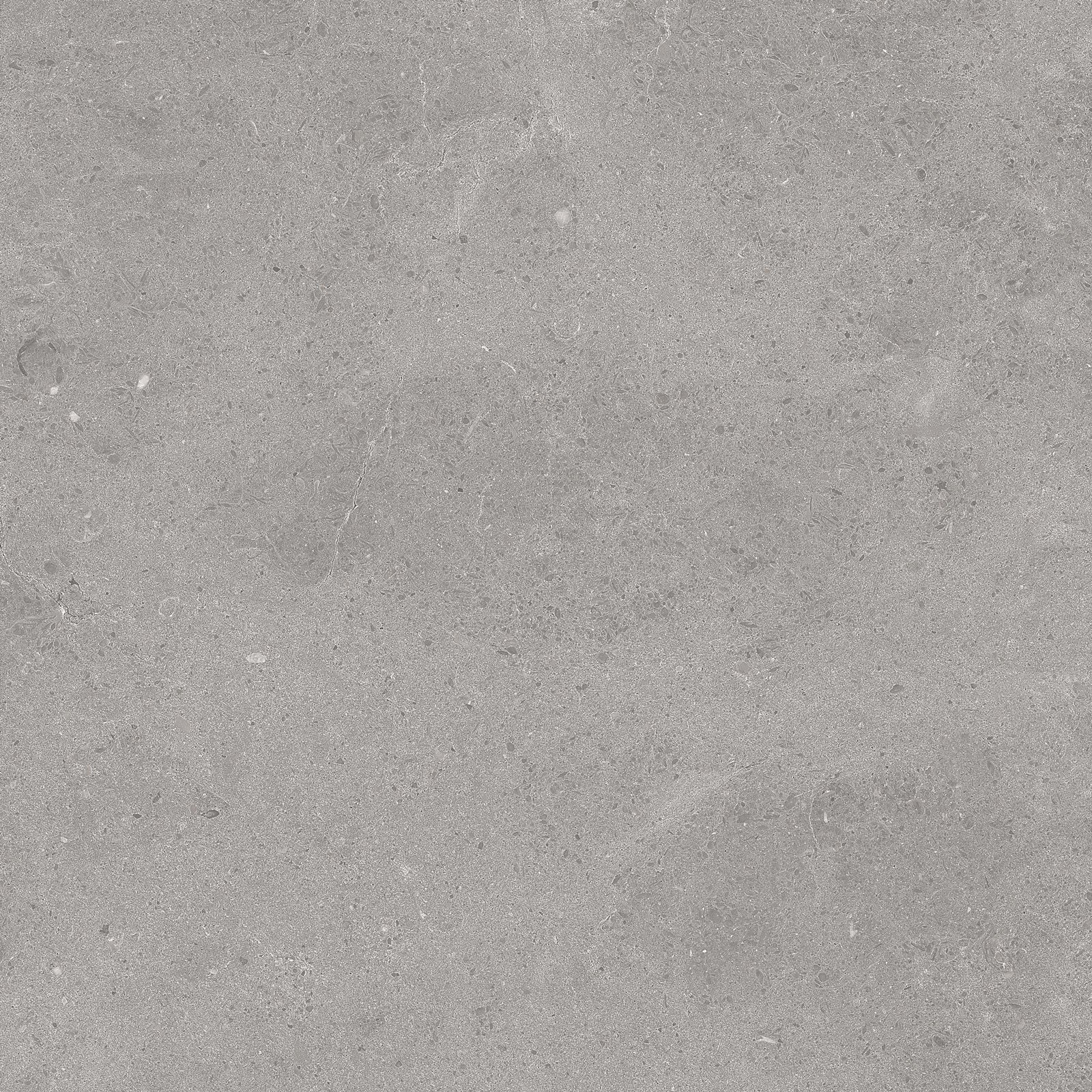 Serenastone Silver 60X60N(C) 60x60c(n) MAT keramische tegel