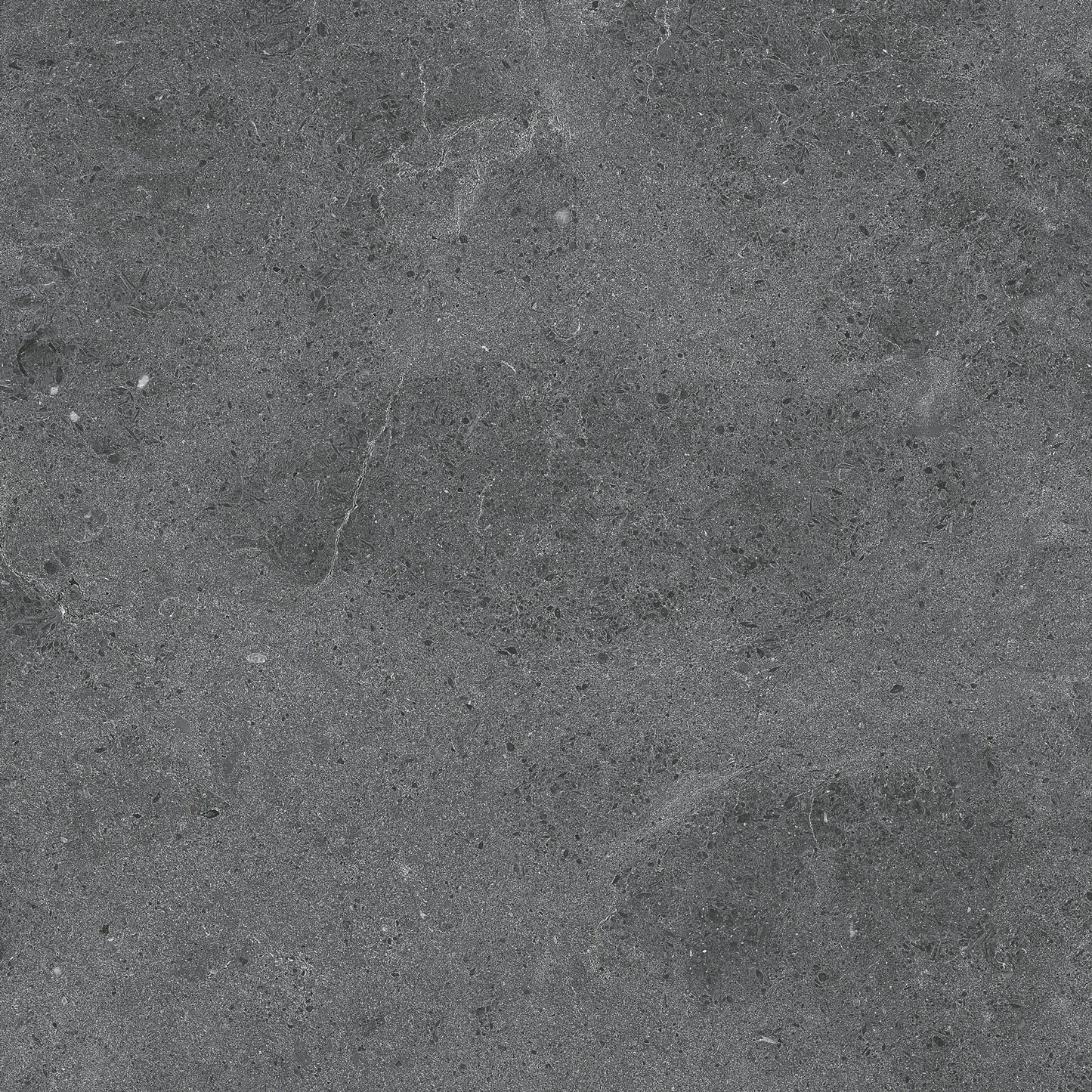 Serenastone Graphite 60X60N(C) 60x60c(n) MAT keramische tegel