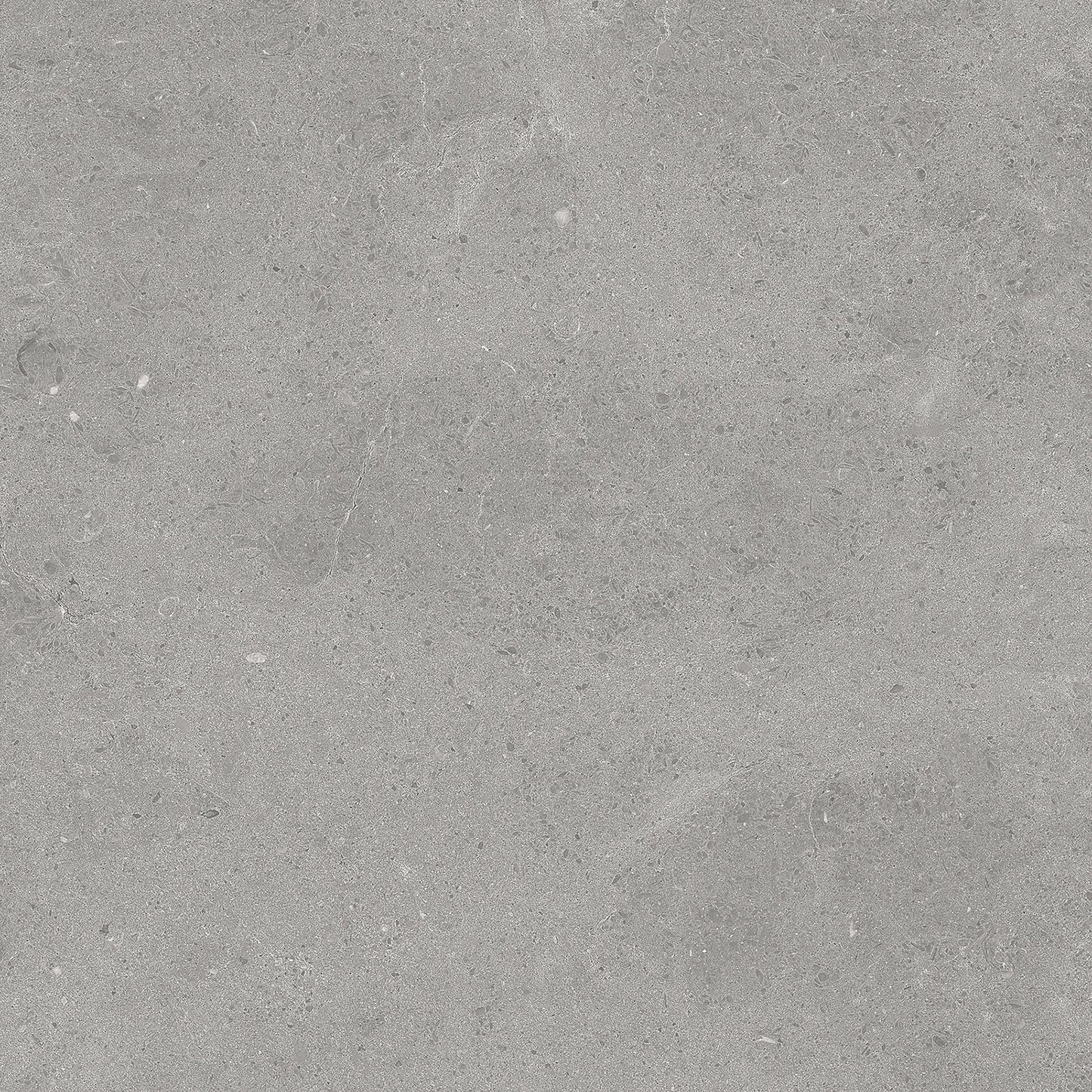 Serenastone Silver  (F) 60X60 (n) MAT keramische tegel