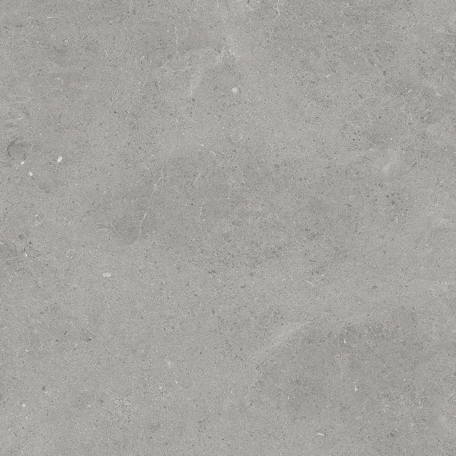 Serenastone Silver  (F) 60X60 (n) MAT keramische tegel