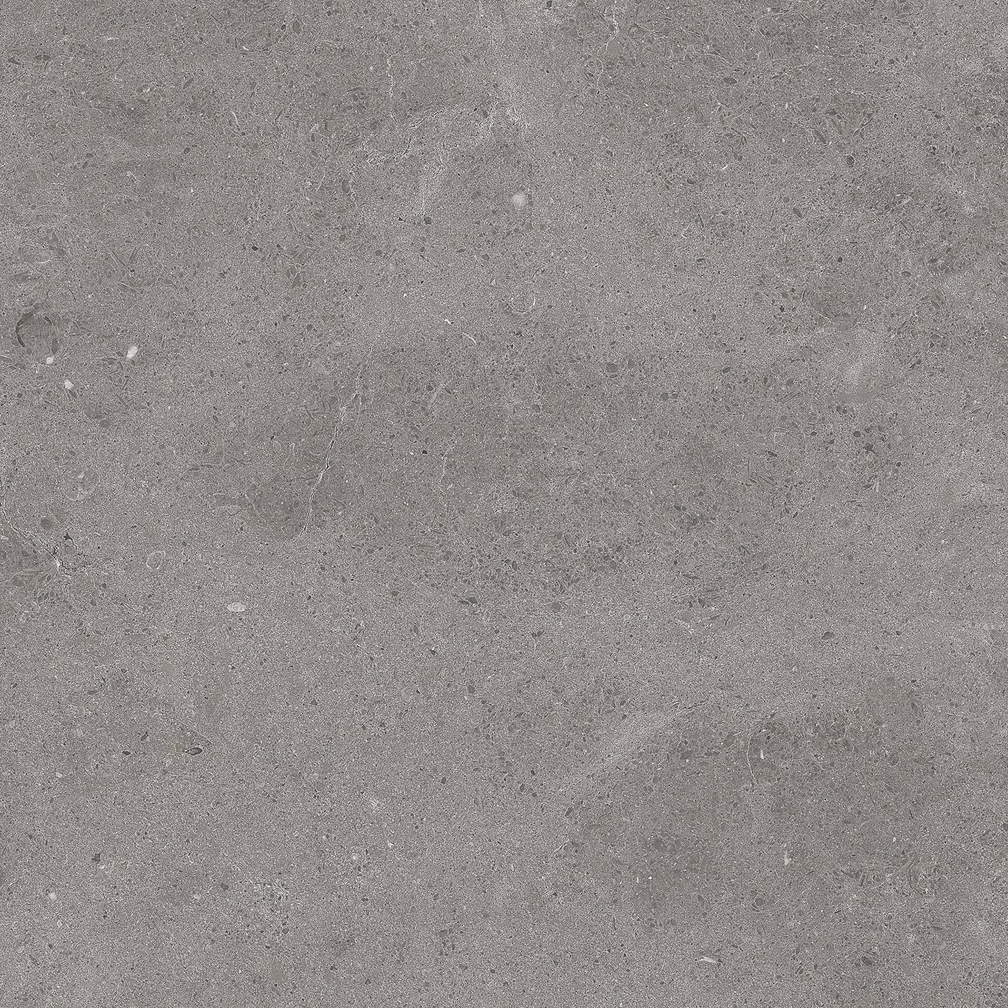 Serenastone Gray 60×60 () 60X60 (n) MAT keramische tegel