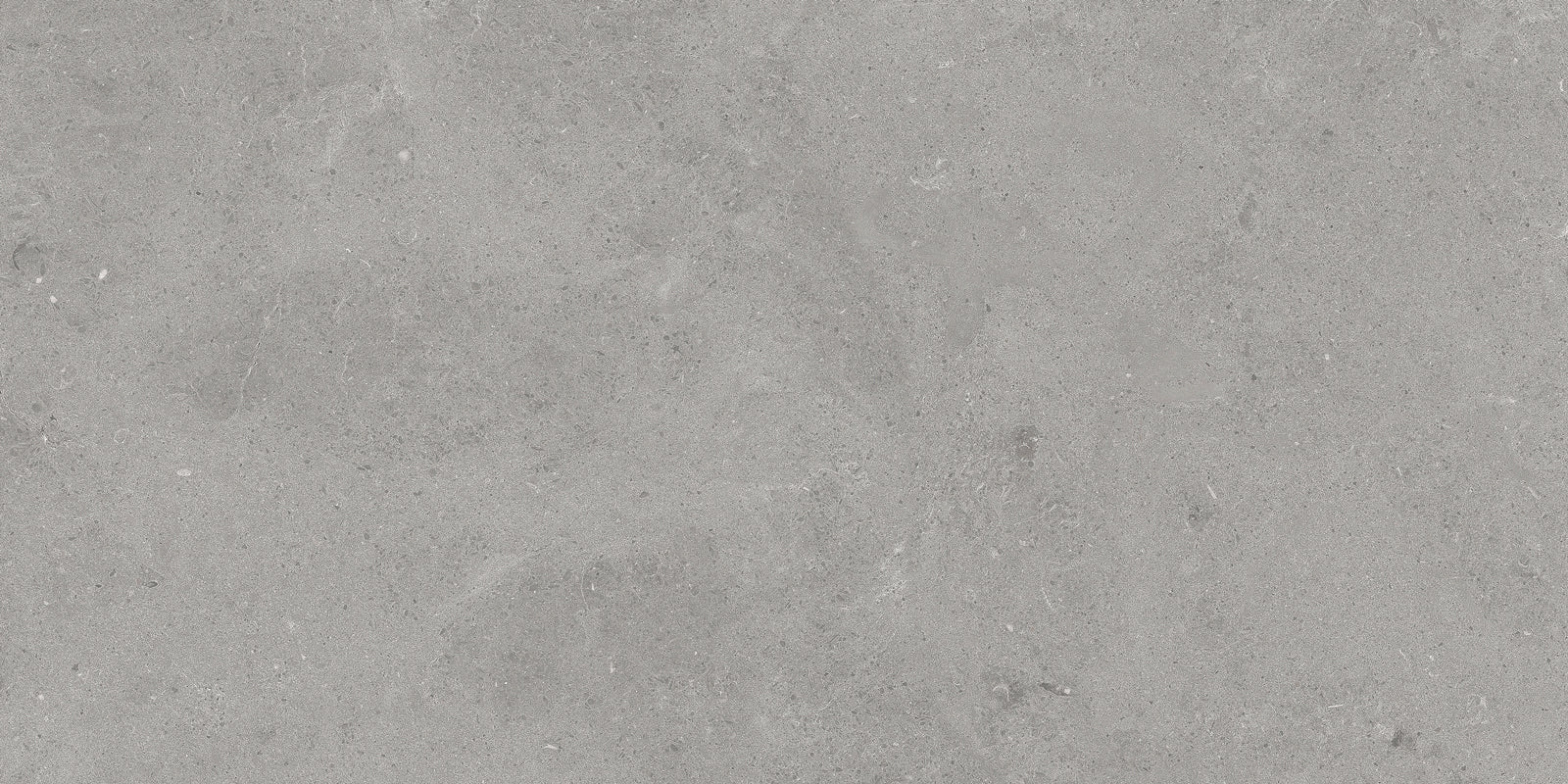 Serenastone Silver 60×120() 60x120(n) MAT keramische tegel