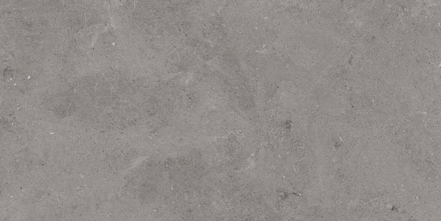 Serenastone Gray 60×120() 60x120(n) MAT keramische tegel