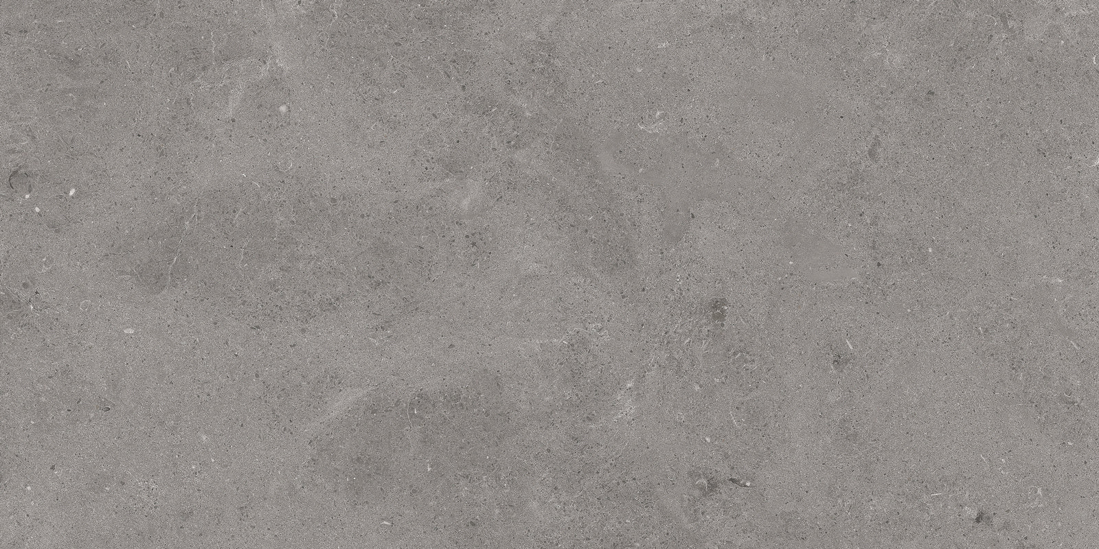Serenastone Gray 60×120() 60x120(n) MAT keramische tegel