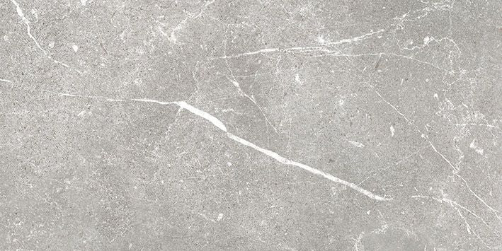Soapstone Silver 30X60 MAT keramische tegel
