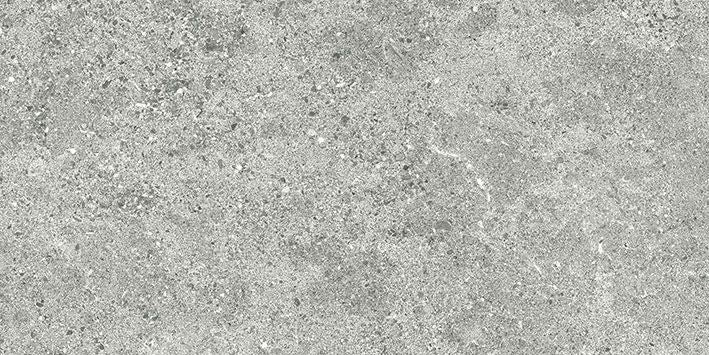 Roadstone Silver 30X60 MAT keramische tegel
