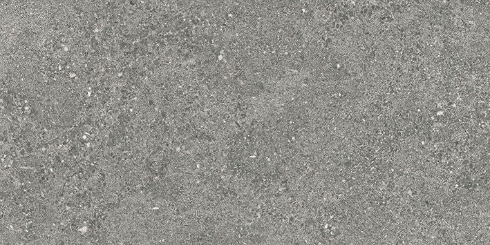 Roadstone Gray 30X60 MAT keramische tegel