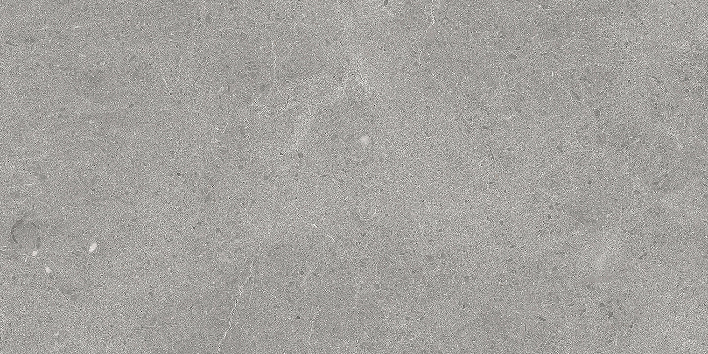 Serenastone Silver 30X60N(C ) 30x60n(C ) MAT keramische tegel