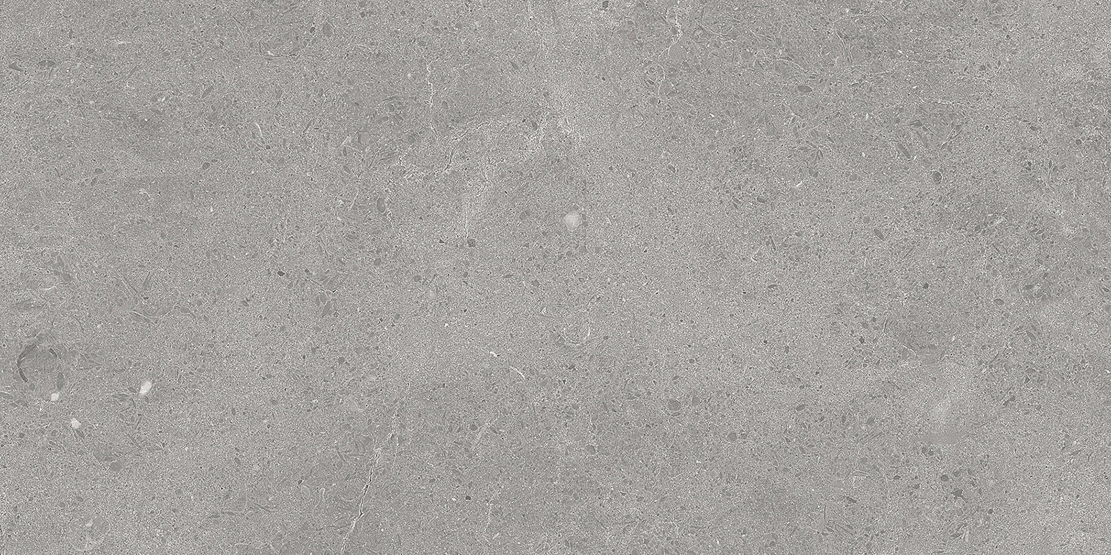 Serenastone Silver 30X60N(C ) 30x60n(C ) MAT keramische tegel