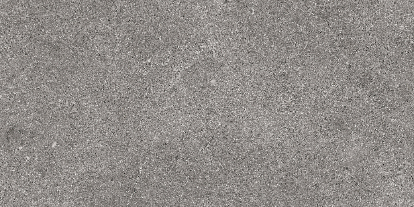 Serenastone Graphite 30X60N(C ) 30x60n(C ) MAT keramische tegel