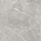 Soapstone Silver 60X60 MAT keramische tegel