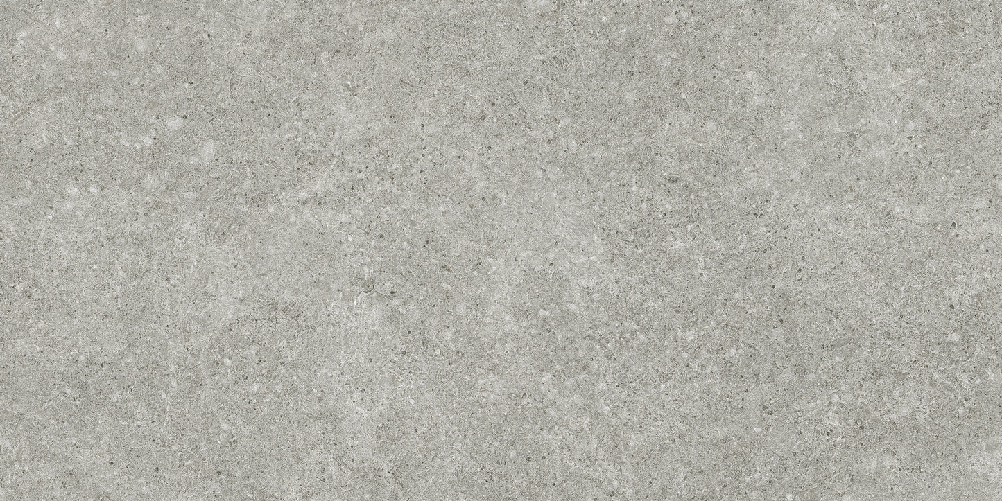 Stale Silver 60X120 MAT keramische tegel