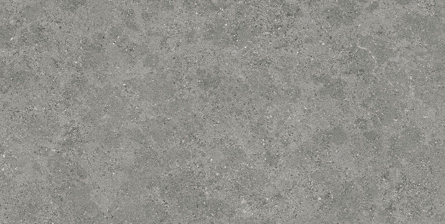 Roadstone Gray 60X120 MAT keramische tegel