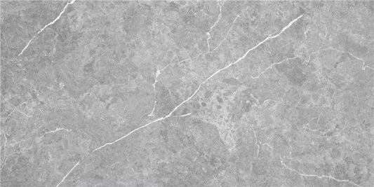 Firenze Gris 30x60