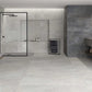 Fereo Grey 60x60