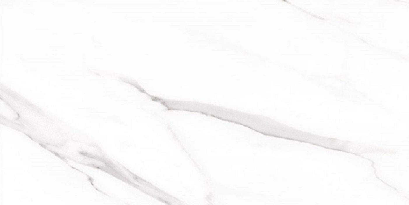 Statuary Blanco Polish 30x60