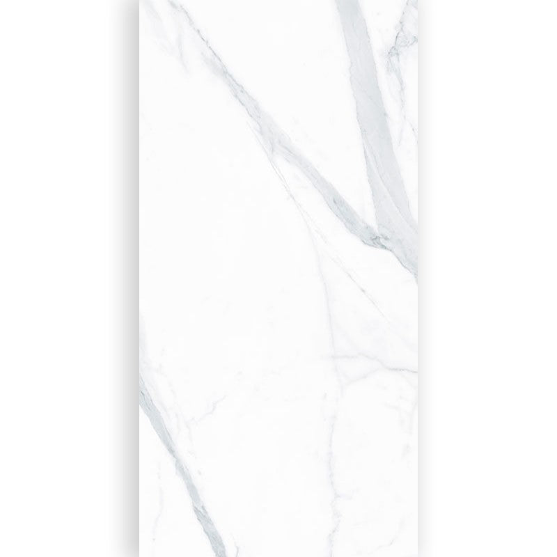 Trevi Blanco 120x60